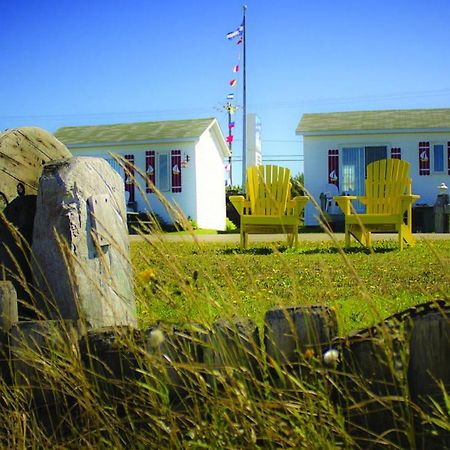 Les Cabines Du Phare Rimouski Buitenkant foto